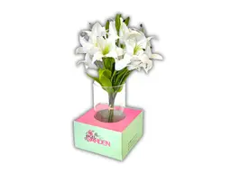 Lily vase in box